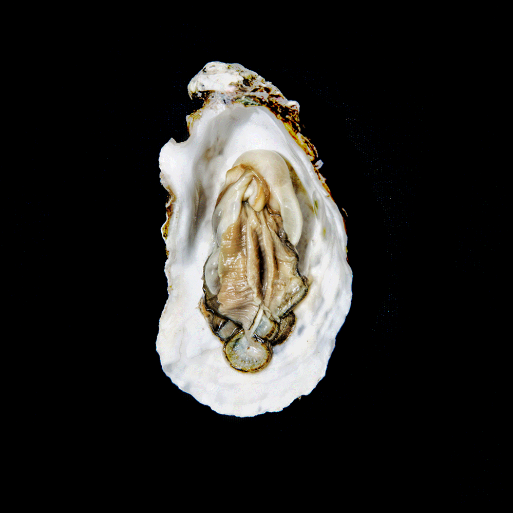 Perfume Art онлайн-бутик нишевой и селективной парфюмерии