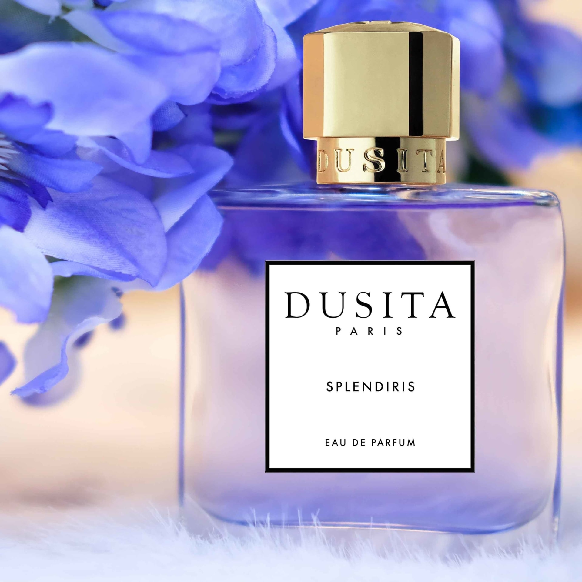 Парфюмированная вода Parfums Dusita Splendiris