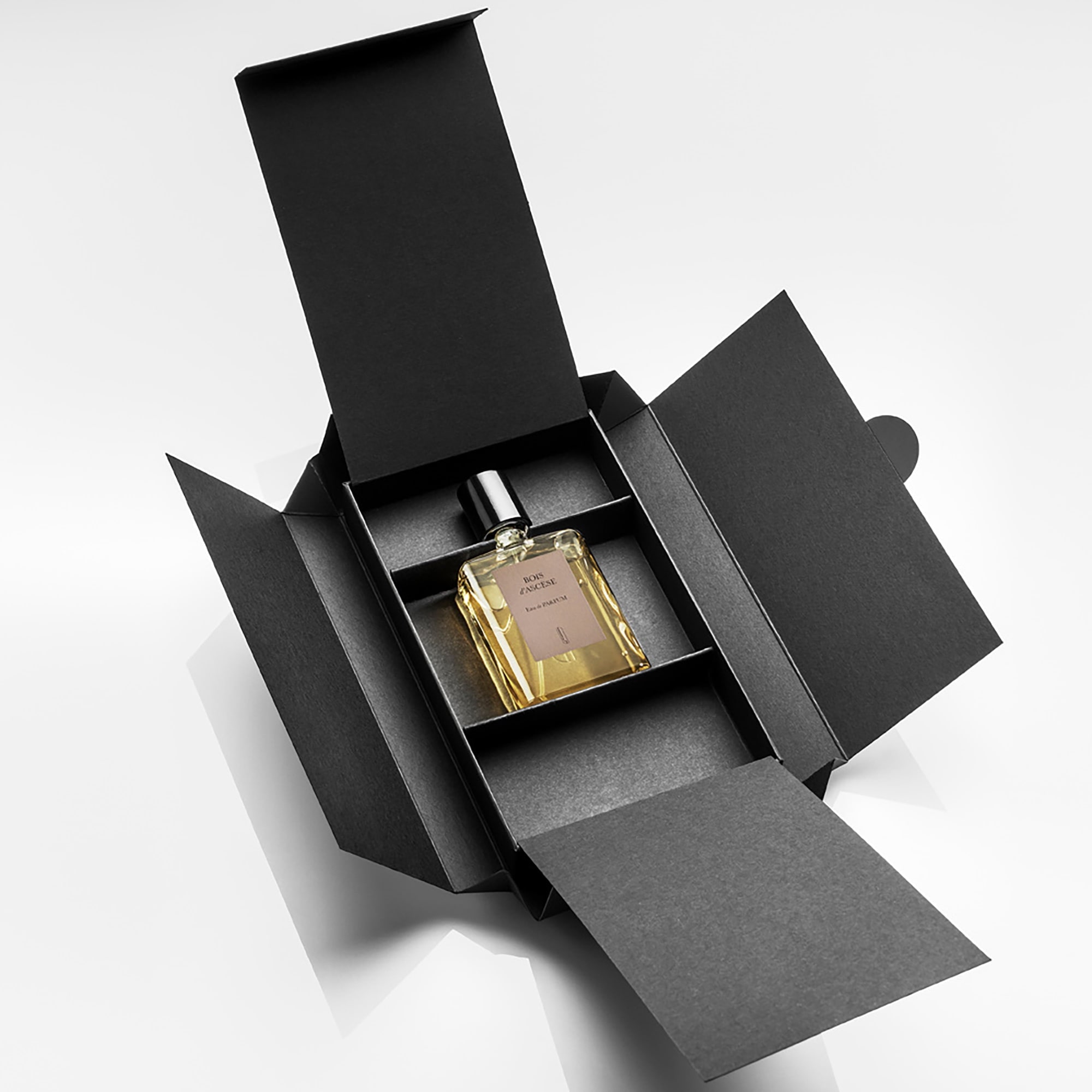 naomi-goodsir-bois-dascese-1