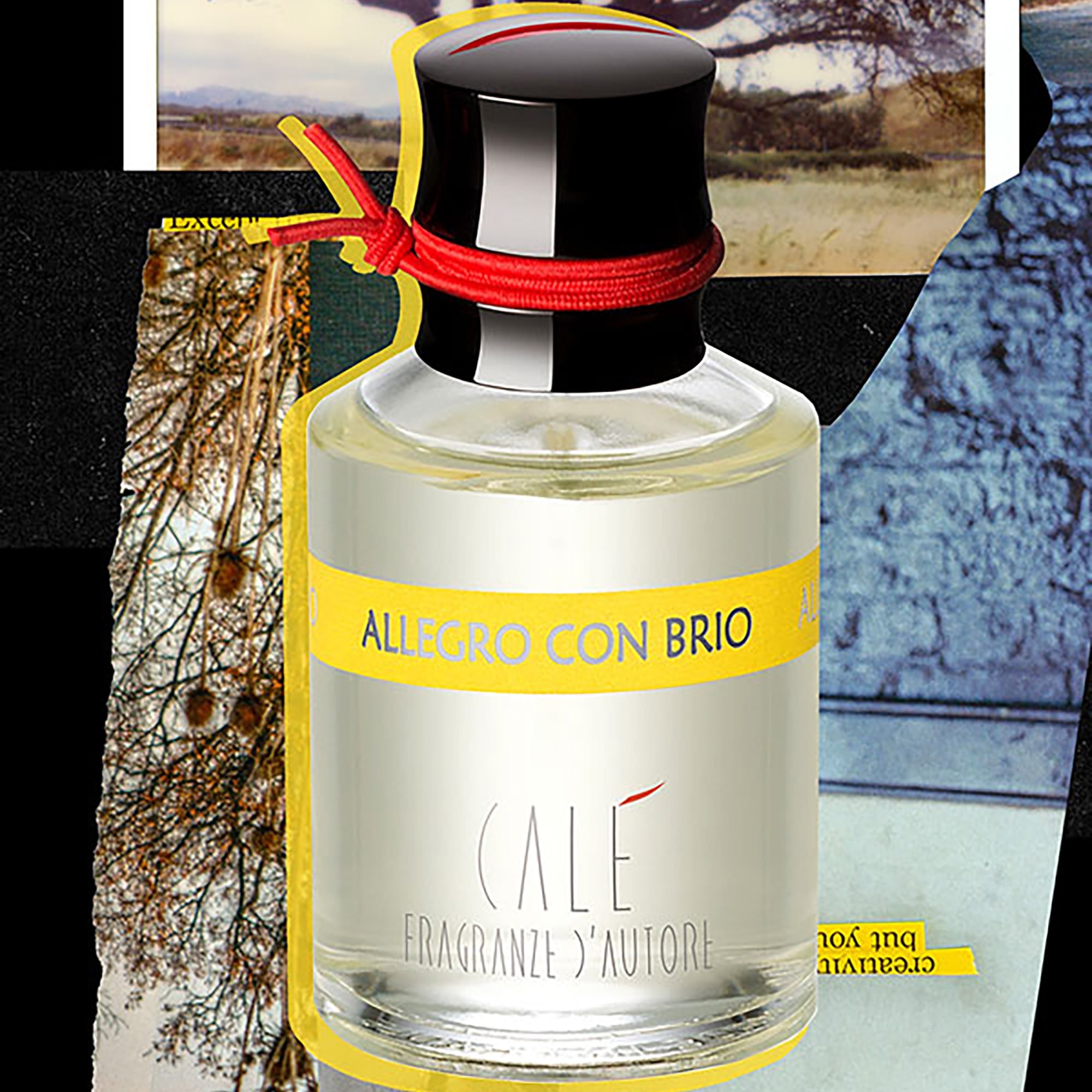 cale-fragranze-dautore-allegro-con-brio-1