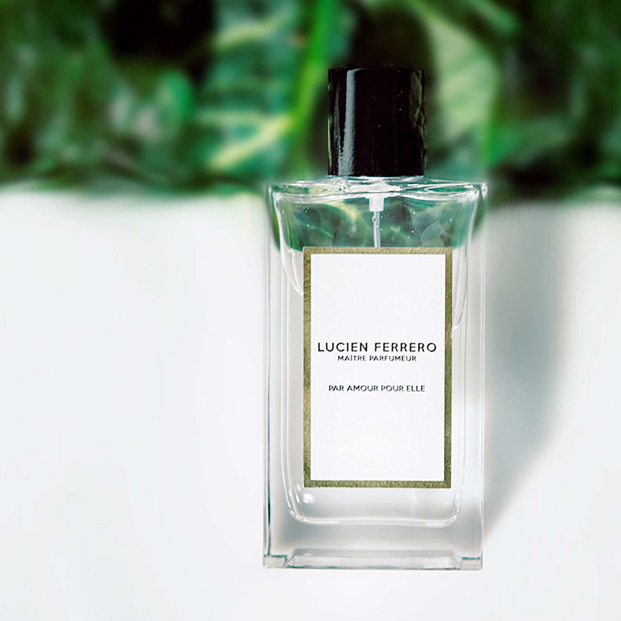 Lucien Ferrero Par Amour Pour Elle