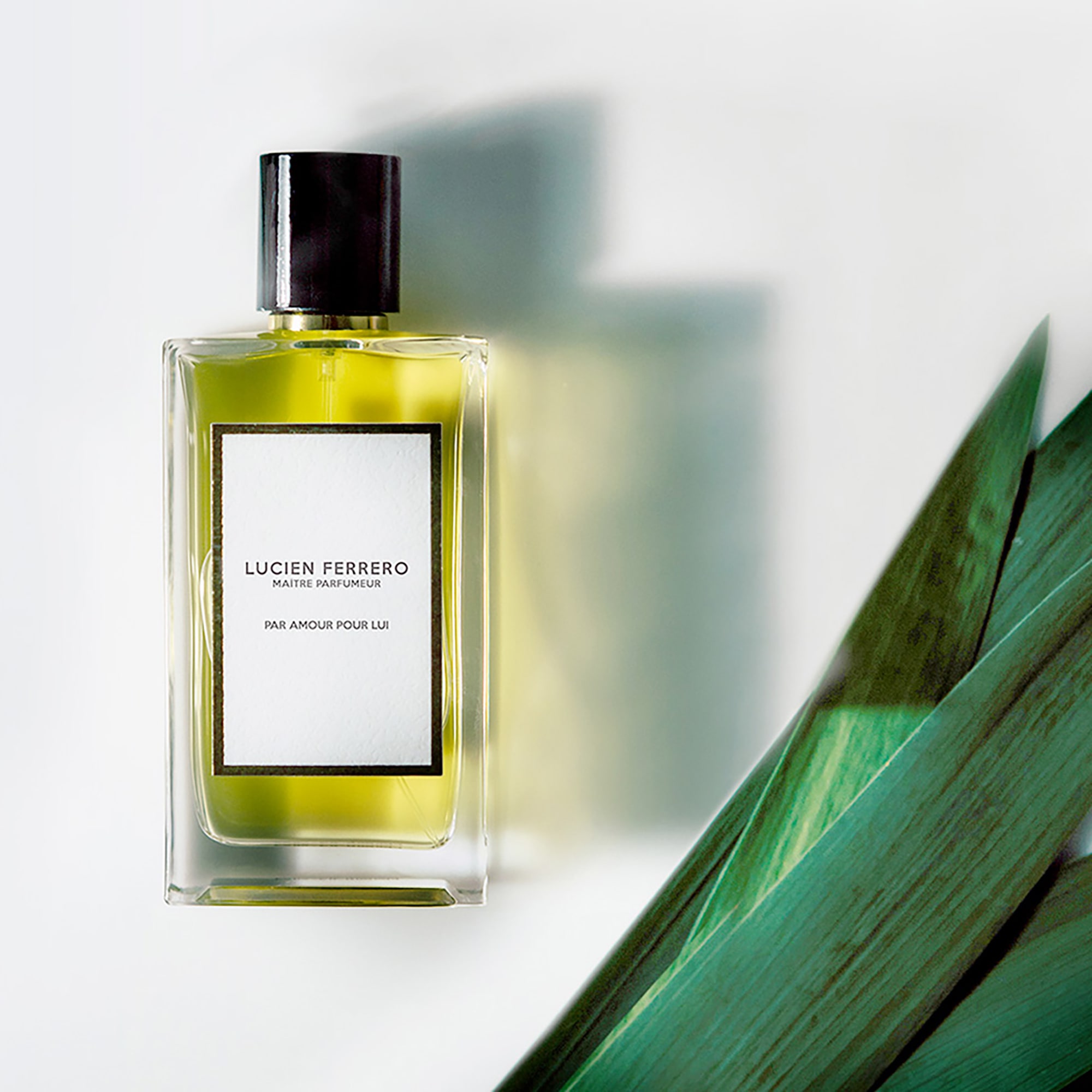 Lucien Ferrero Par Amour Pour Lui