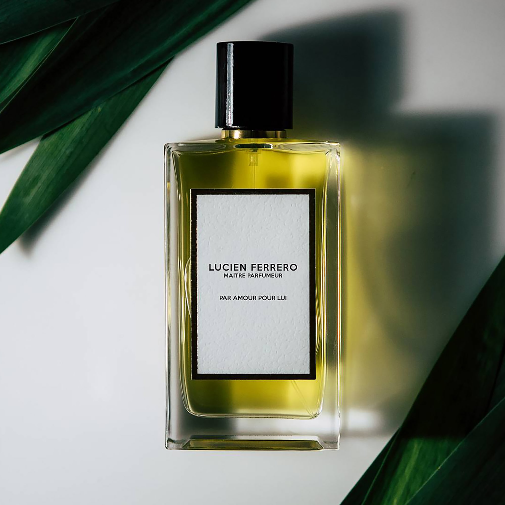 Lucien Ferrero Par Amour Pour Lui