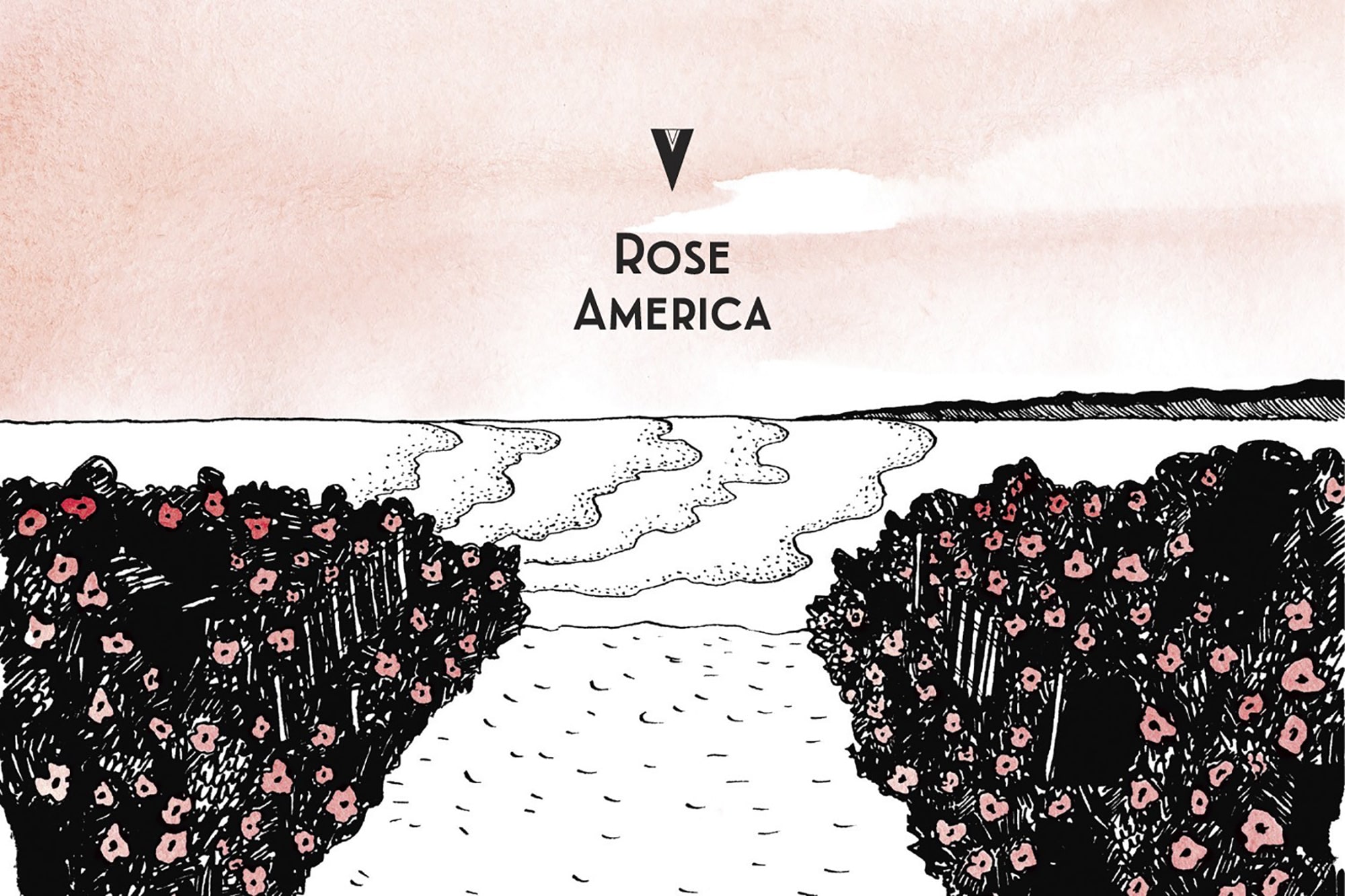 Une Nuit Nomade Rose America