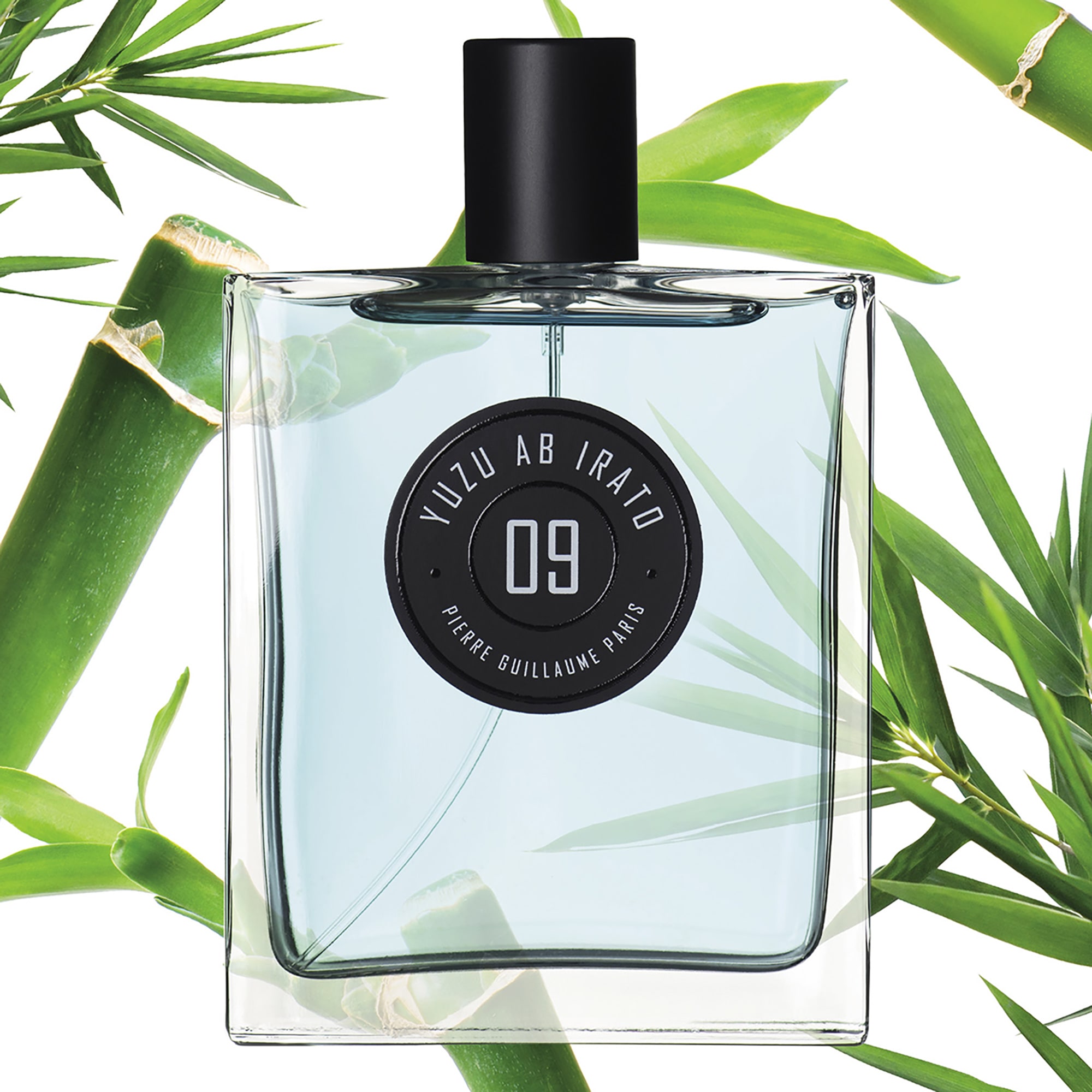 Pierre Guillaume 09 Yuzu Ab Irato