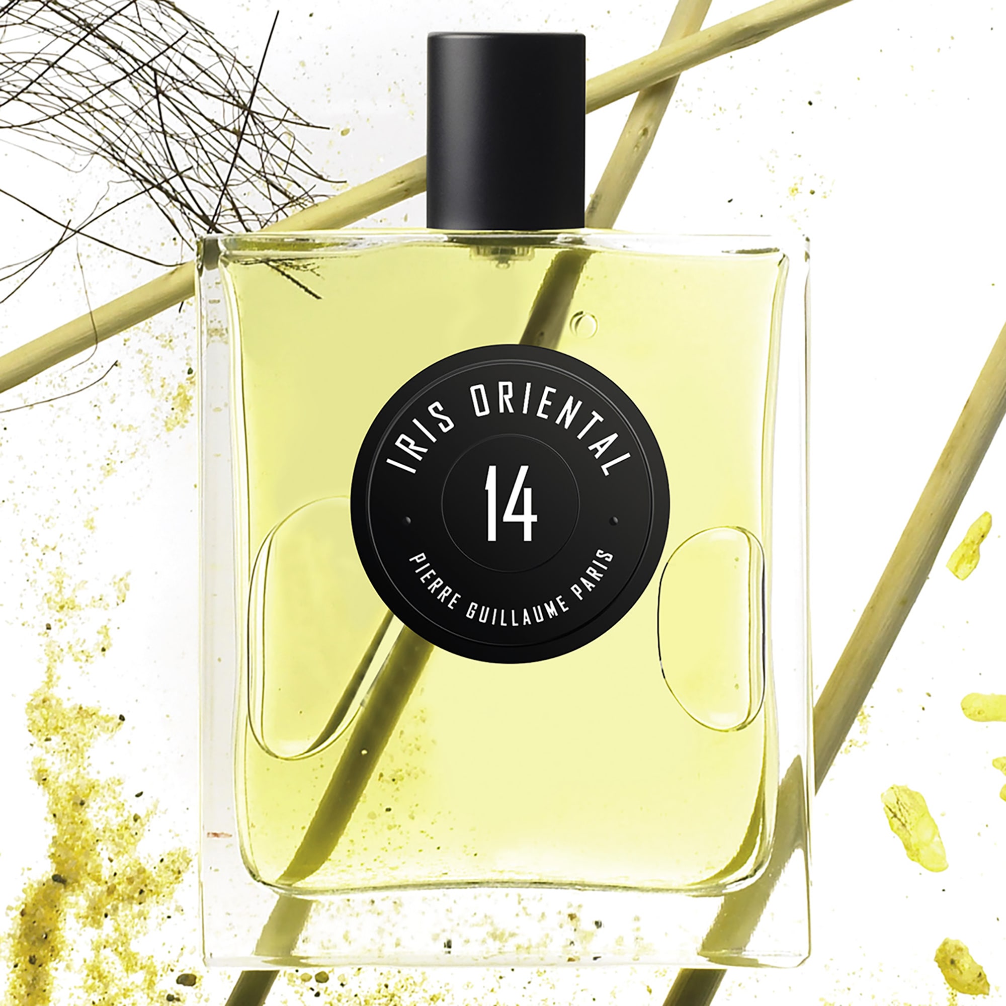 Pierre Guillaume 14 Iris Oriental