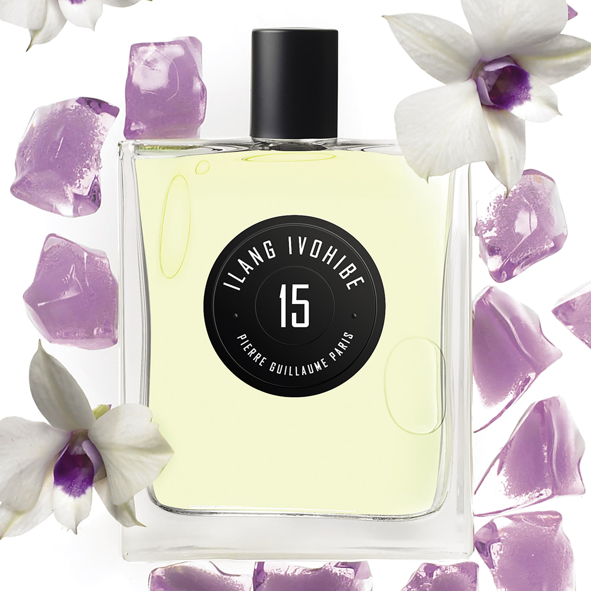 Pierre Guillaume 15 Ilang Ivohibe
