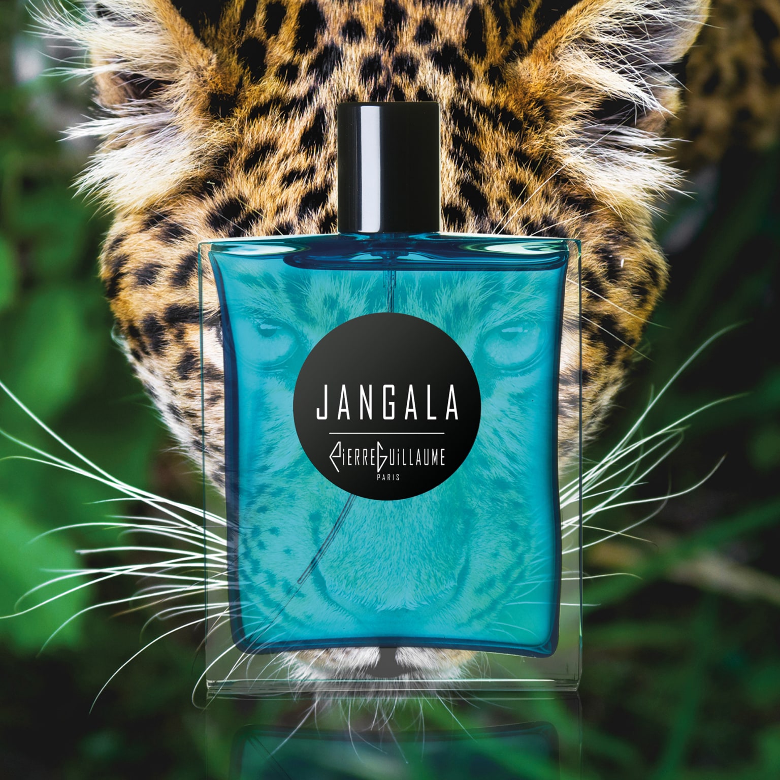 Парфюмированная вода Pierre Guillaume Jangala - Perfume Art Online Boutique