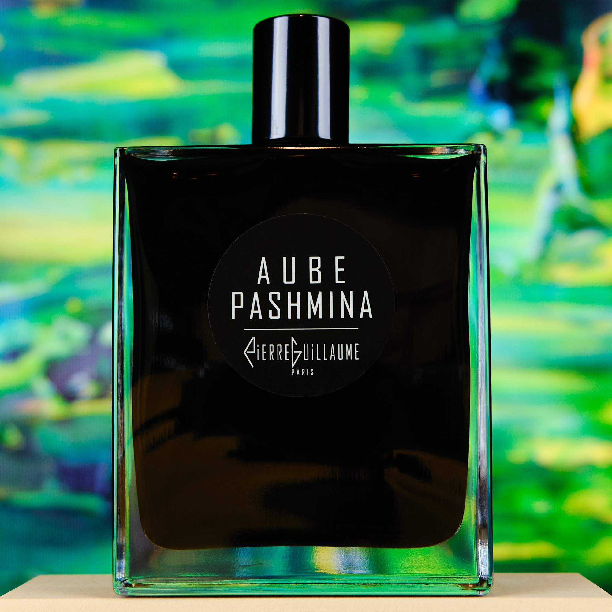 Pierre Guillaume Aube Pashmina