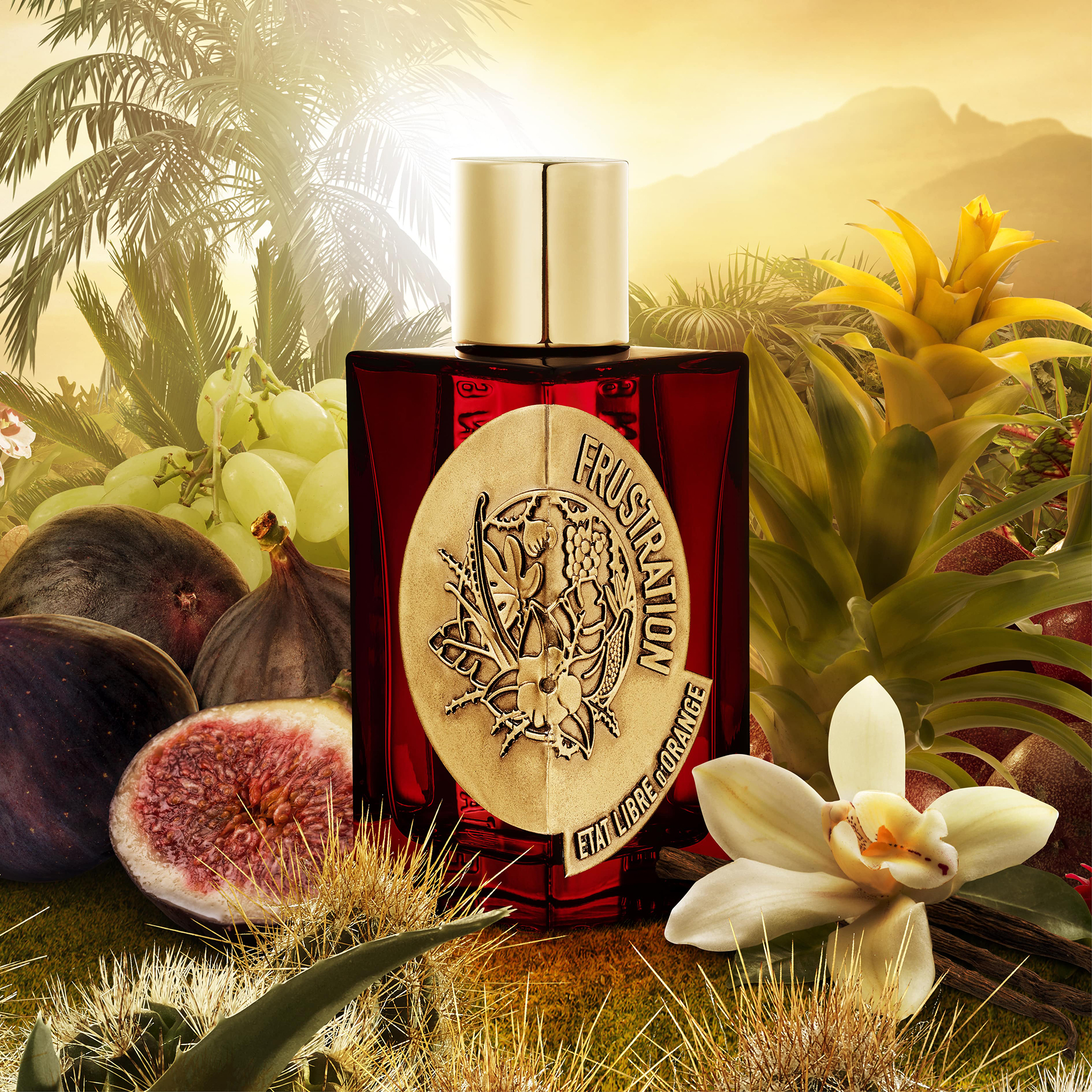 Etat Libre d’Orange Frustration