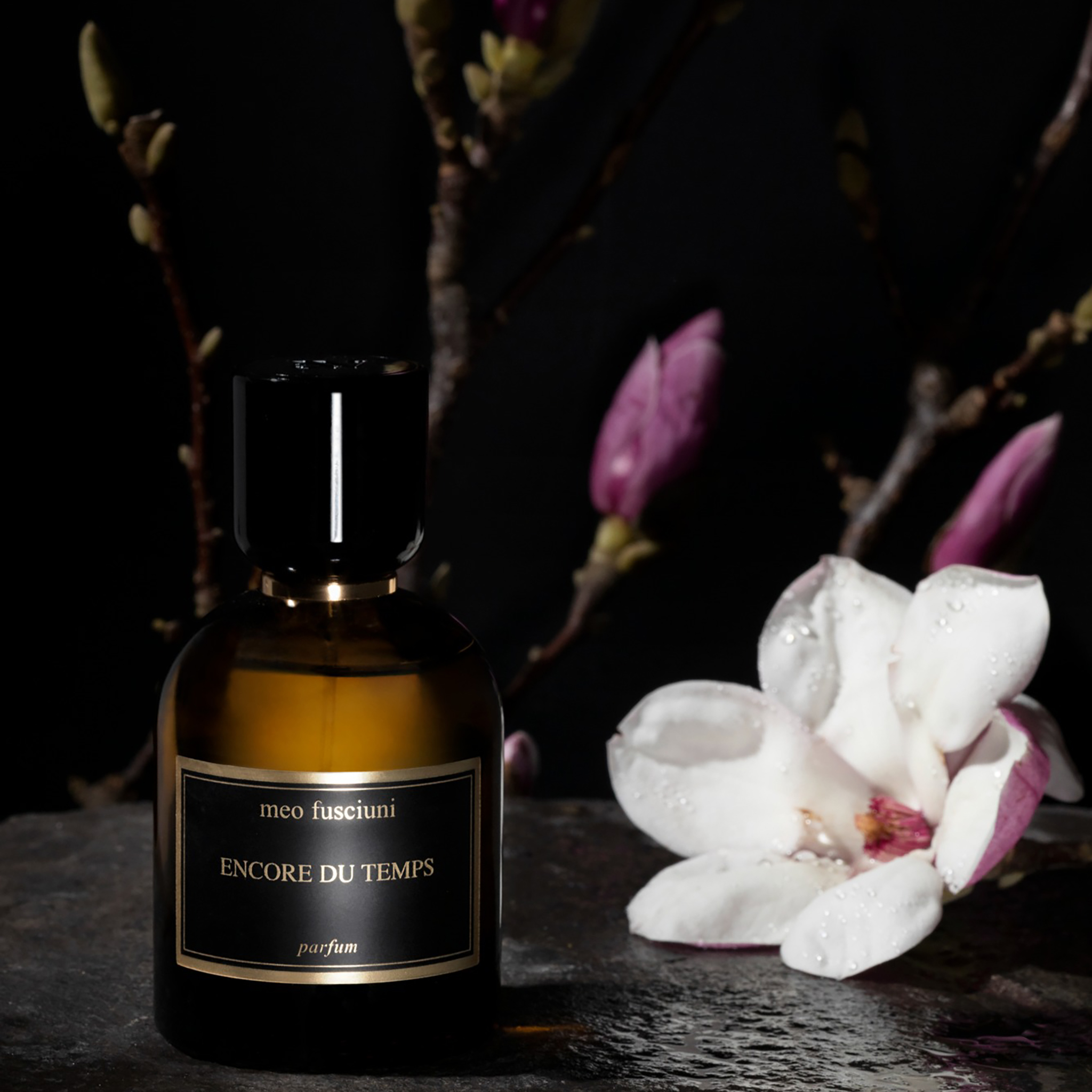 Meo Fusciuni Encore du temps